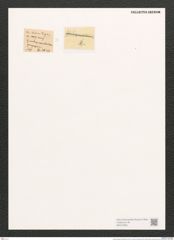 Synedra putealis O'Meara (de-Toni-Nr.: Genus 66, Species 2591) Zeichnungen Sammlung Grunow (NHMW-BOT-W0373663)
